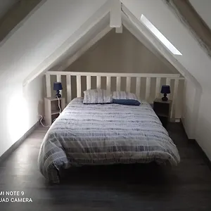 Le Terrier Du Lapin Blanc Saint-Brieuc